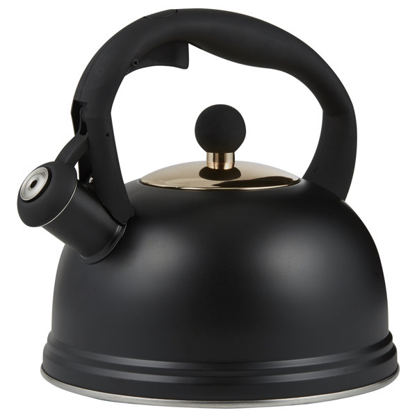 Fast boil hot sale gas kettle